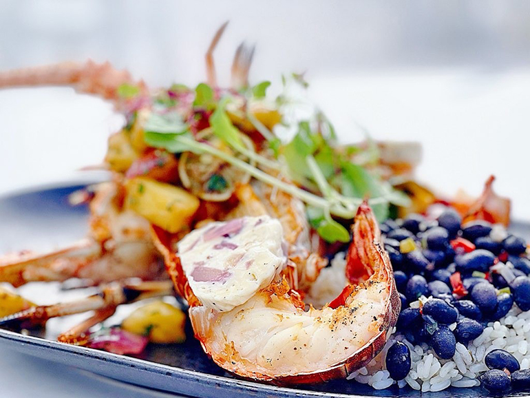 sol local lobster