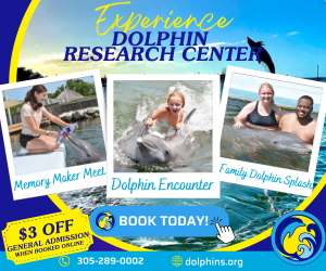 Dolphin Reaserch Ad (300 × 250 px)