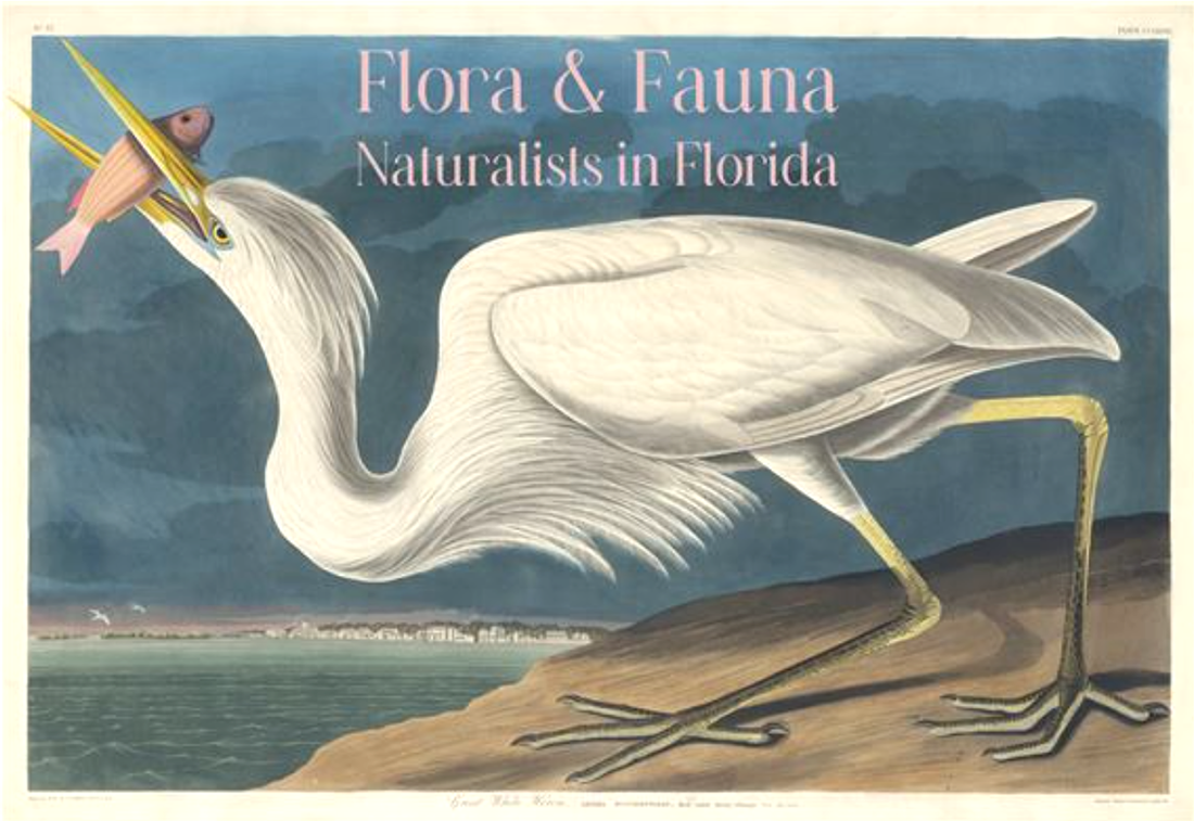 Flora & Fauna