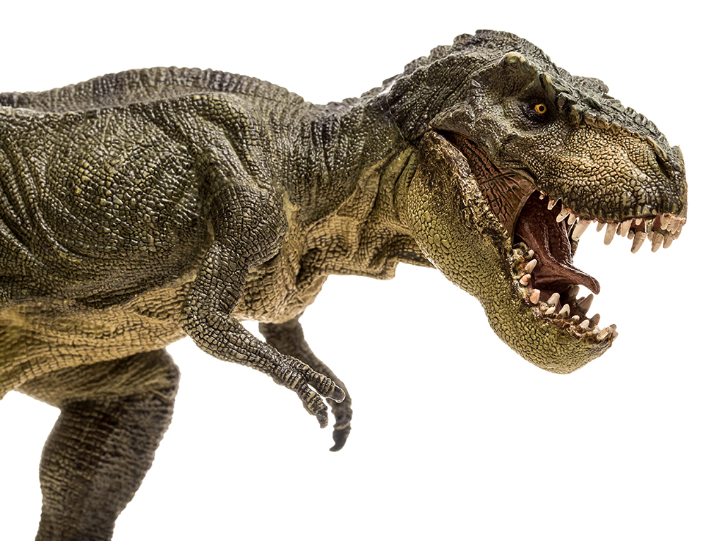 Welcome to Jurassic Park! “Dinos Among Us” Transforms Zoo Miami